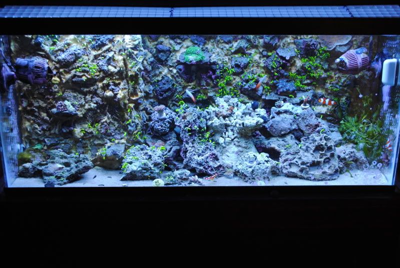 DSC_1424.jpg