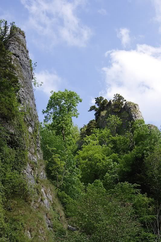 IMAGE: http://i2.photobucket.com/albums/y15/Dewspics/Dovedale/IMG_5322.jpg