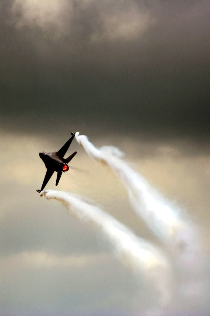 IMAGE: http://i2.photobucket.com/albums/y15/Dewspics/Waddington/IMG_5862.jpg