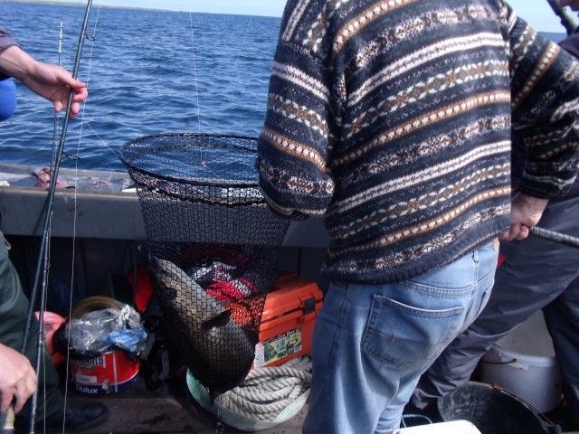 fishing forum