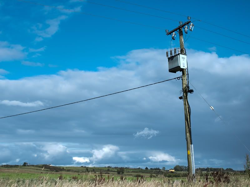 telephone-pole.jpg