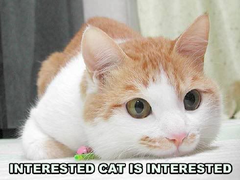 interested.jpg