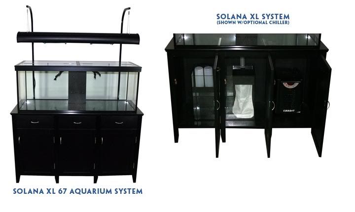 Solana Xl