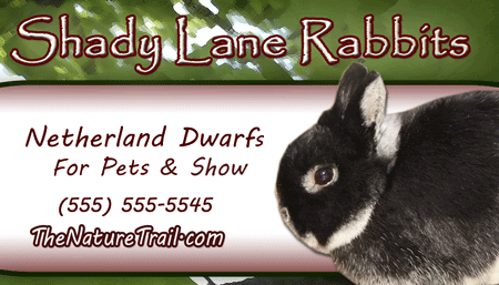 rabbitry biz card