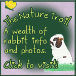 TNT show rabbit information