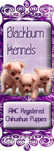 facebook page banner customization for dog kennels