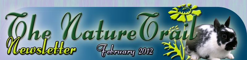 The Nature Trail Newsletter - February 2012