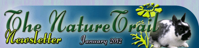 The Nature Trail Newsletter - Jan 2012
