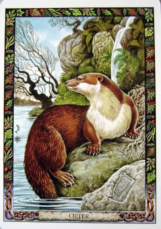 Animal Oracle Cards