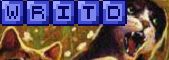 BANNER NAME