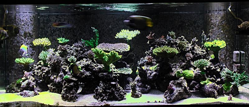 FTS1_zps72127168.jpg