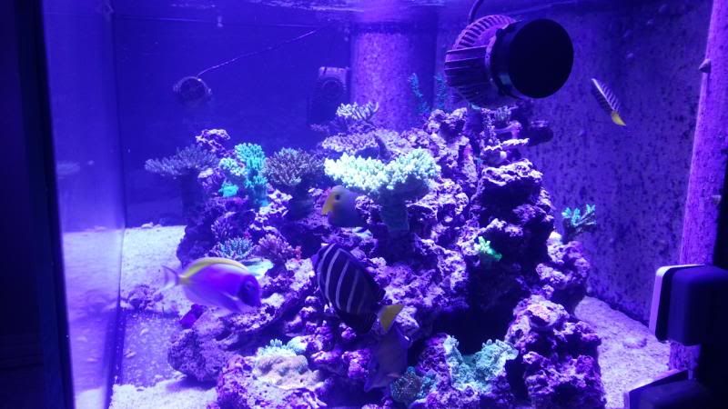 FTSJuly22013d_zps40406250.jpg
