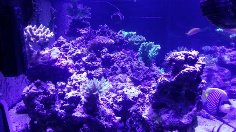 FTSJuly22013e_zps4e7396b9.jpg