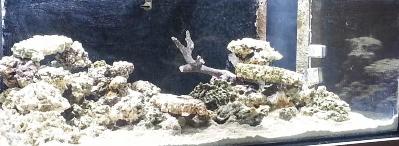 aquascape-10_zpsbad0c05a.jpg