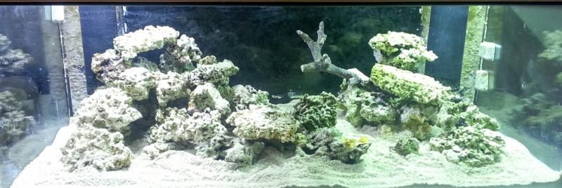 aquascape-1_zpscf8468b9.jpg