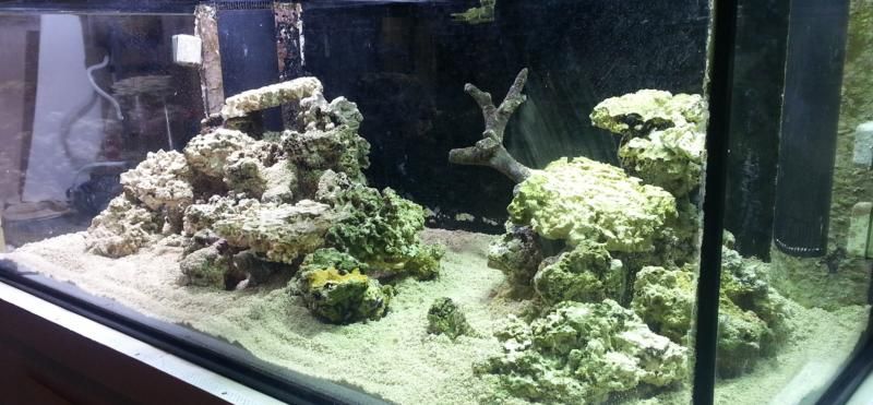aquascape-2_zps3608050e.jpg