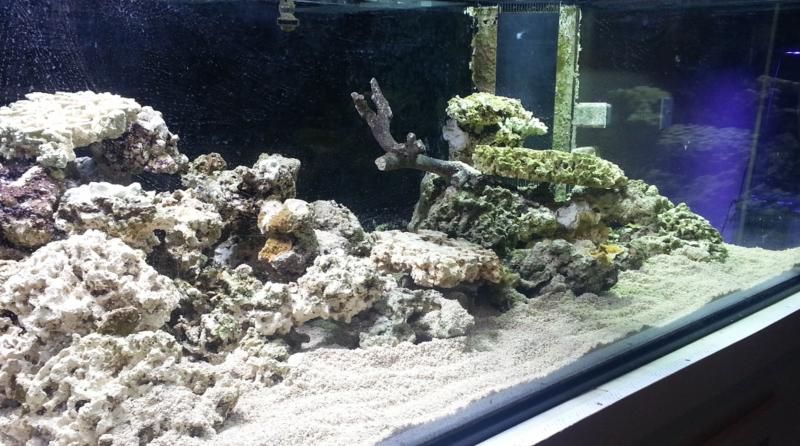 aquascape-3_zps07230b54.jpg