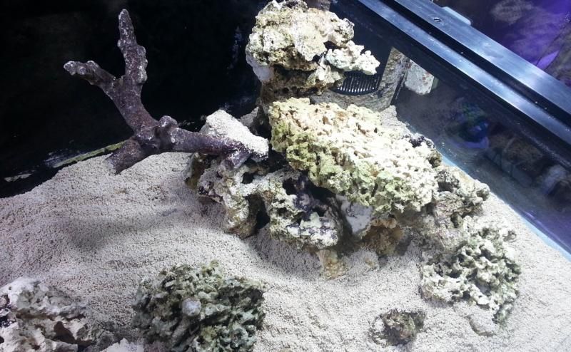 aquascape-4_zpsaa869dde.jpg