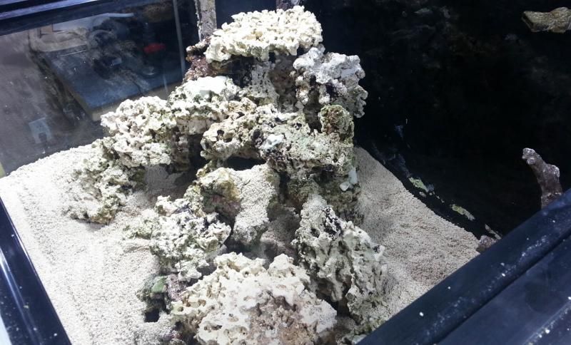 aquascape-5_zps8d3d16d1.jpg