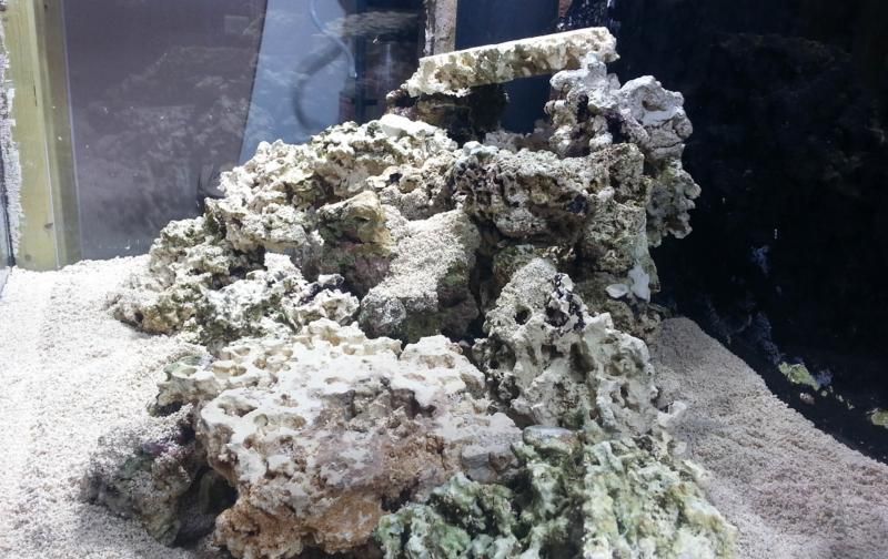 aquascape-6_zps86e59447.jpg