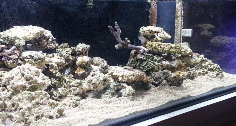 aquascape-9_zps397fc62e.jpg