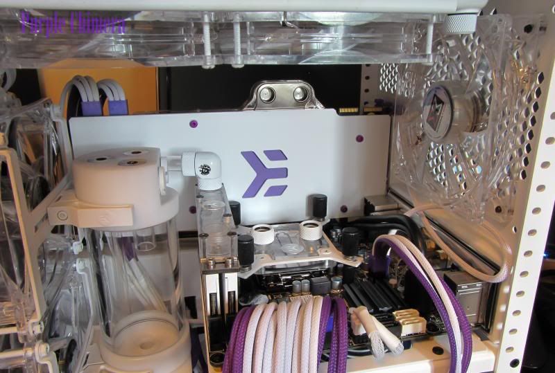purplechimera-16-3_zps51cf65c0.jpg