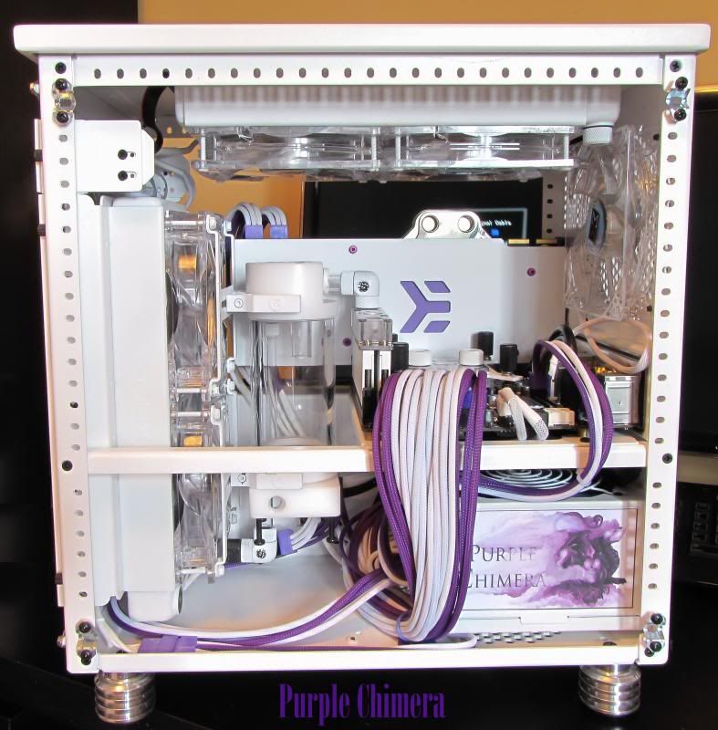 purplechimera-18_zps68c81220.jpg