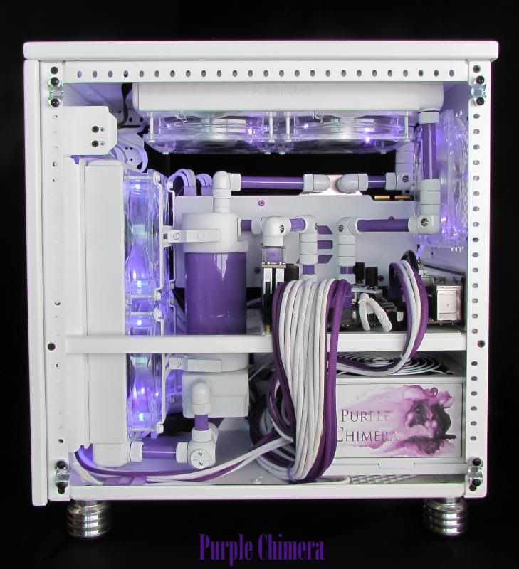 purplechimera-26_zps217bf4d2.jpg