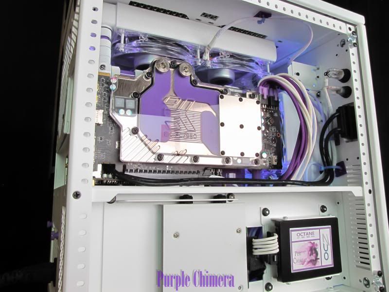 purplechimera-28_zps54d8213c.jpg