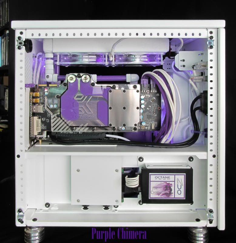 purplechimera-29_zps5707dcfb.jpg