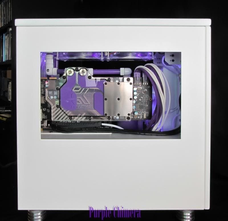 purplechimera-30_zps12265ec8.jpg