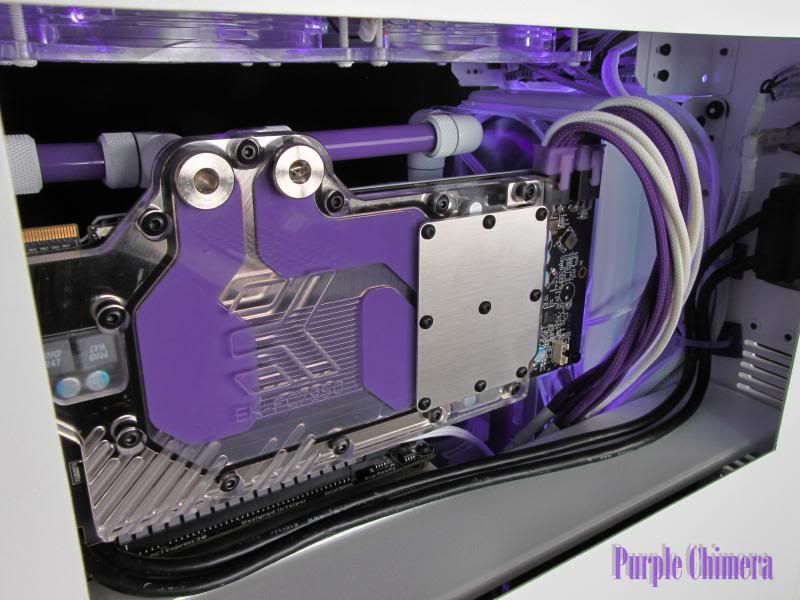 purplechimera-31_zps9850f39e.jpg