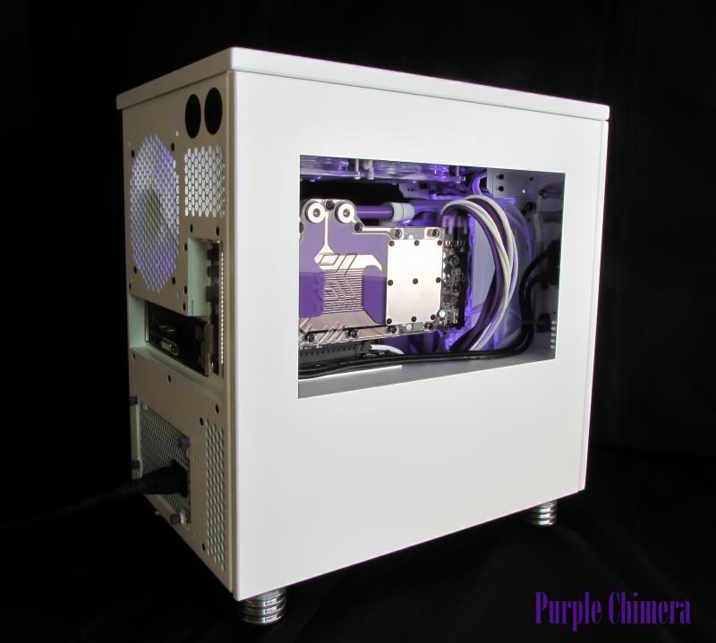 purplechimera-32_zpsa206e13e.jpg