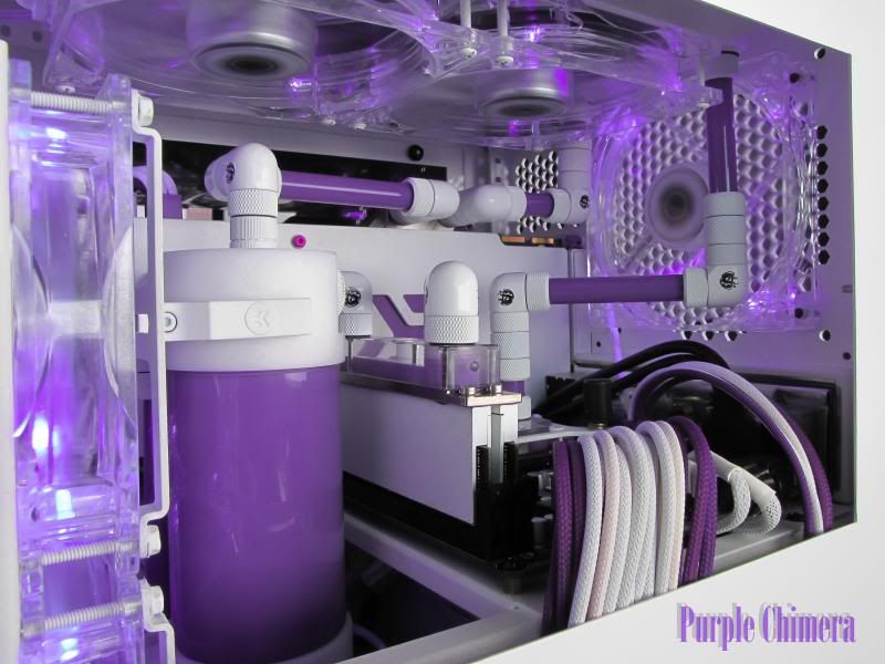 purplechimera-35_zps17175bb2.jpg