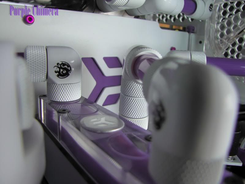 purplechimera-37_zpsacfa6097.jpg