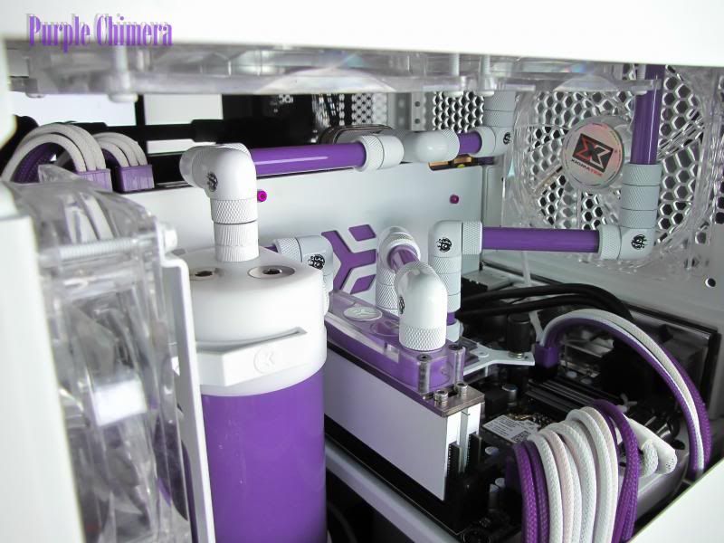 purplechimera-38_zpse443f3ba.jpg