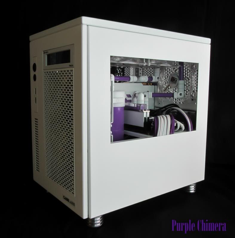 purplechimera-39_zps179da398.jpg