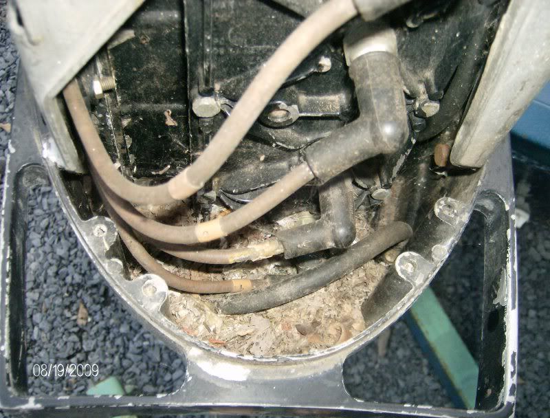 G310.jpg