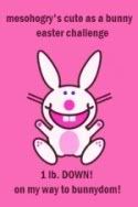 Cute As a Bunny