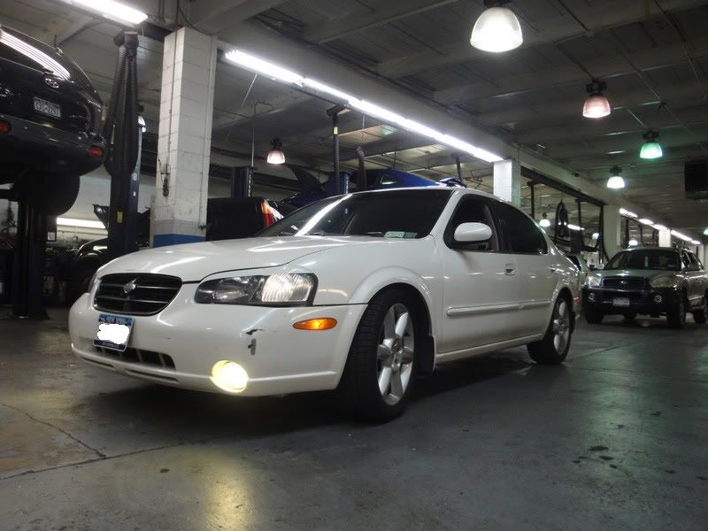 2001 Nissan maxima forums #8