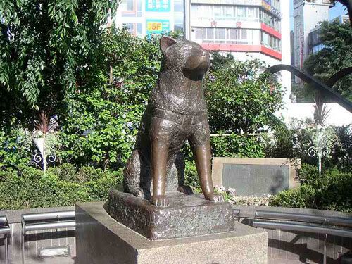 Hachiko statue at Shibuya