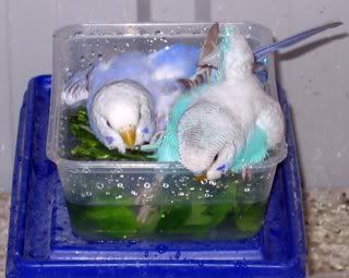 baths043.jpg
