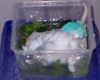 baths051.jpg