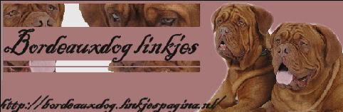 CLICK HERE FOR VIEW ALL THE LINKS OF BORDEAUXDOG/ DOGOS DE BURDEOS