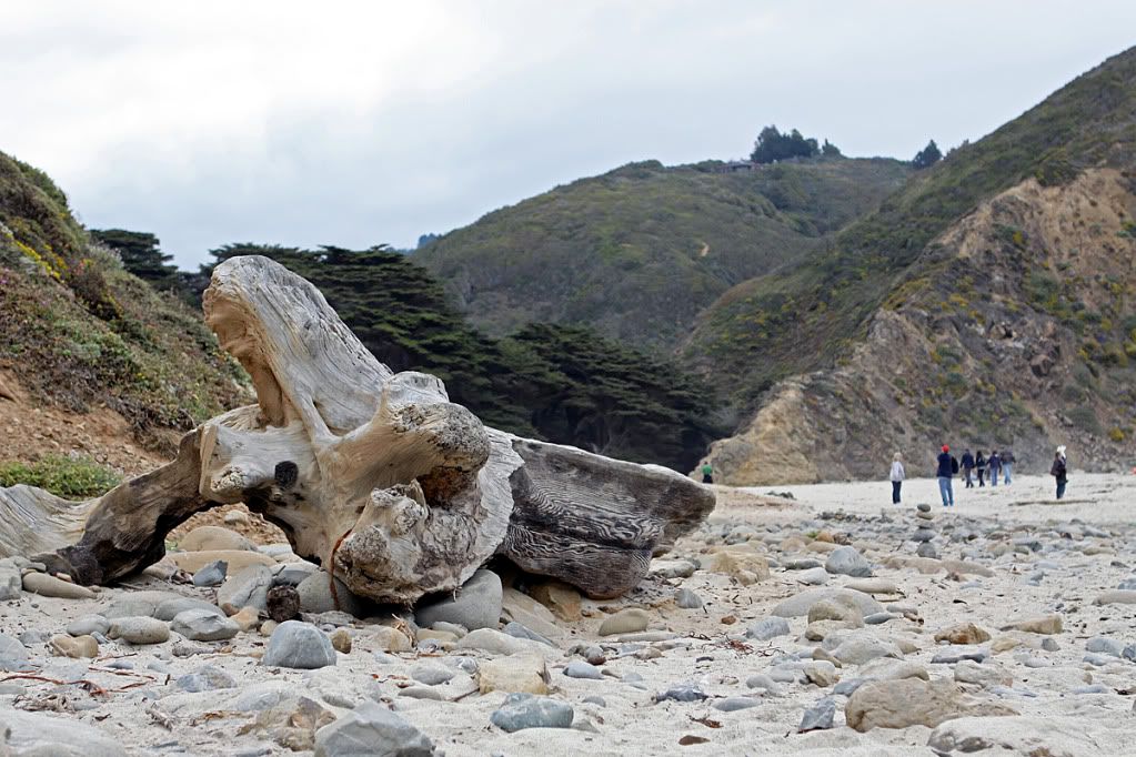 IMAGE: http://i2.photobucket.com/albums/y17/dwargg/d64ac289.jpg