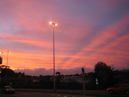 IMG_1634.jpg