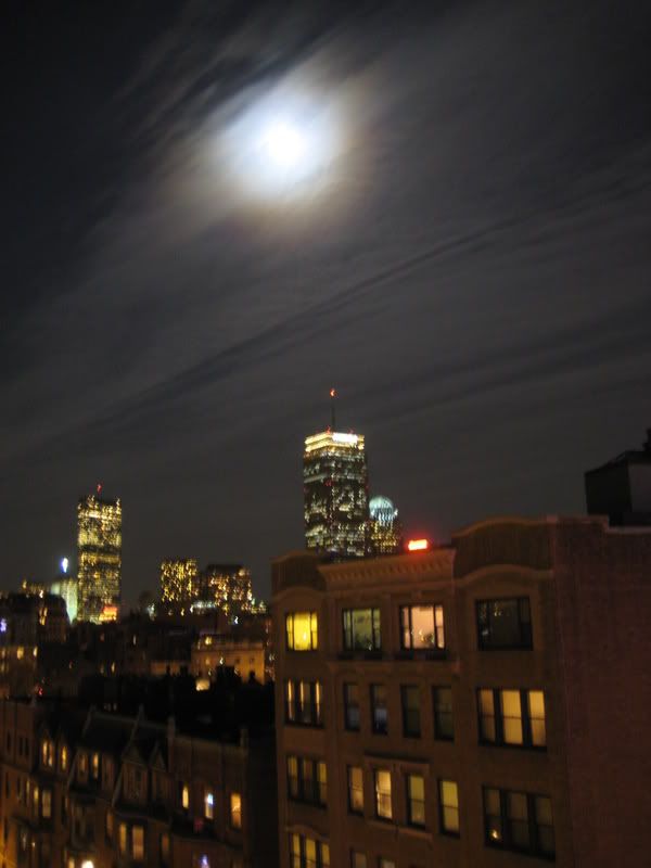 IMG_2667.jpg
