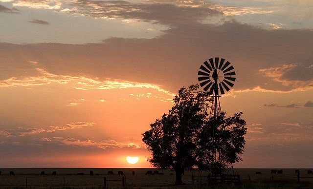 IMAGE: http://i2.photobucket.com/albums/y17/jimthias/Photo%20fixes/WindmillNNPC-vi.jpg