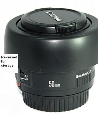 IMAGE: http://i2.photobucket.com/albums/y17/msowsun/_1ddd-2-1.jpg