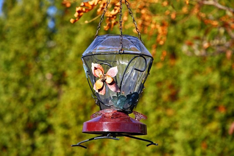 IMAGE: http://i2.photobucket.com/albums/y17/msowsun/photo%20stuff/15-85/IMG_5322a.jpg